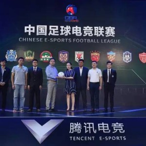 爱游戏- 波鸿球迷基金会收购俱乐部股份，开创德甲球迷持股先例  